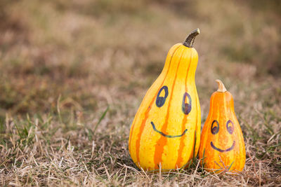 Close-up of yellow pumpkin on field