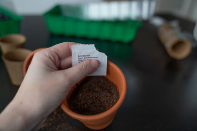 Planting green onions in a terracotta pot