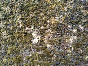 Full frame shot of rocks on beach