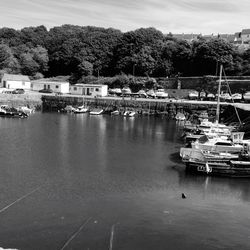 Boats moored at harbor against sky