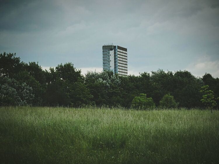 grass, sky, tree, field, green color, growth, grassy, building exterior, tranquility, architecture, landscape, cloud - sky, nature, built structure, tranquil scene, beauty in nature, cloud, no people, day, plant