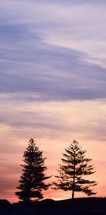 Low angle view of silhouette tree against sky during sunset