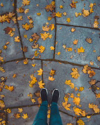 Low section of person standing on autumn leaves