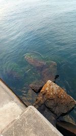 High angle view of rocks in sea