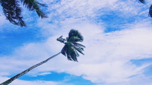 Low angle view of cloudy sky