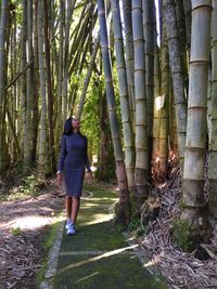 Rear view of woman standing in forest