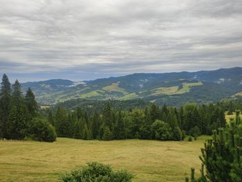 Scenic view of landscape against sky