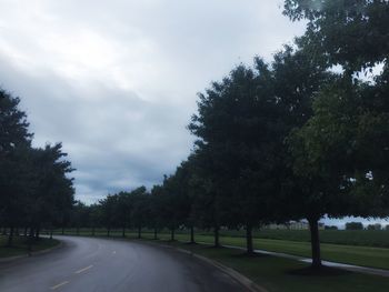 Empty road along trees