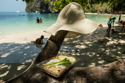 Hat and food on tree at beach during sunny day