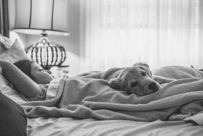 Dog sleeping on bed