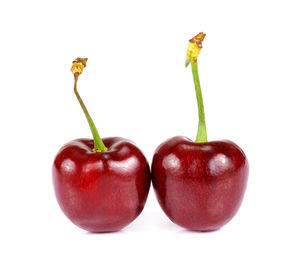 Close-up of tomatoes against white background