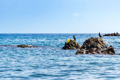 Scenic view of rocks in sea against clear sky