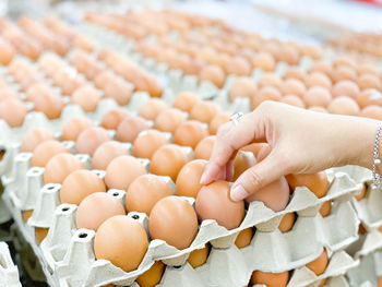 Midsection of person holding vegetables at market stall