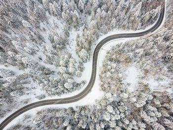 Aerial view of road amidst trees