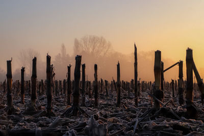 Wooden posts on field against sky during sunset