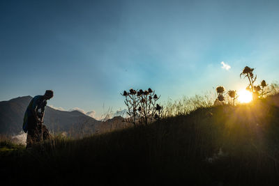 Scenic view of field against sky during sunset