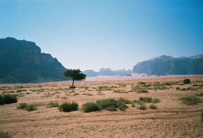 Scenic view of agricultural field against clear blue sky