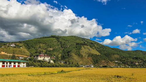 Scenic view of field against sky