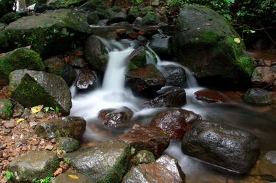 View of waterfall in forest