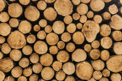 Full frame shot of logs