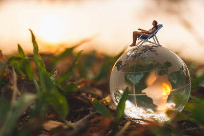 macro photography
