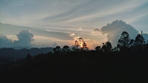 Silhouette trees on landscape against sky during sunset