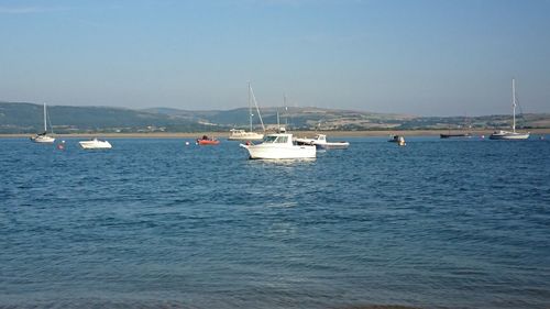 Sailboats sailing in sea against clear sky