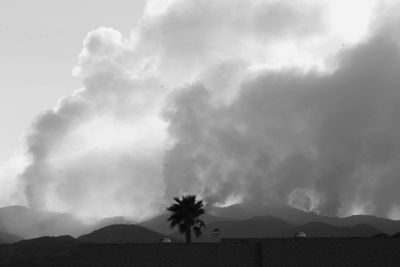 Silhouette trees on landscape against sky