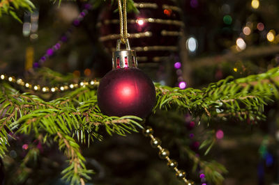 Close-up of illuminated christmas tree