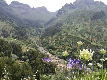 Scenic view of mountains