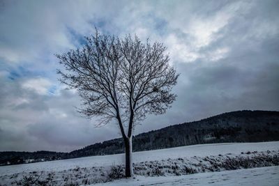 Bare tree on snow covered field against sky