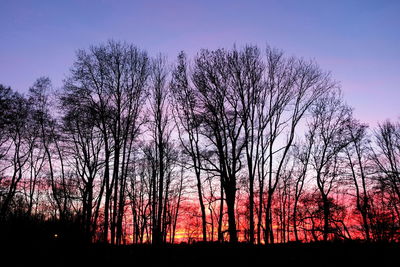 Silhouette bare trees against sky during sunset