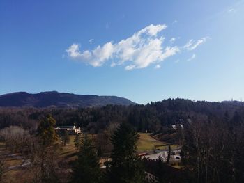 Trees and mountains against sky