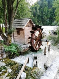 Traditional windmill in stream amidst trees in forest