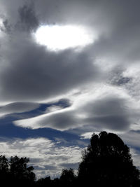 Low angle view of silhouette trees against sky