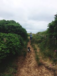 Rear view of man walking on road amidst trees against sky