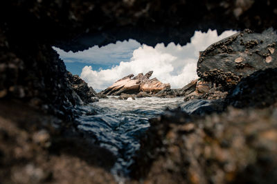 Surface level of rocks on shore against sky