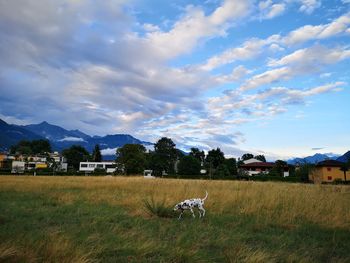 View of houses on field against sky