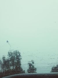 View of trees against sky