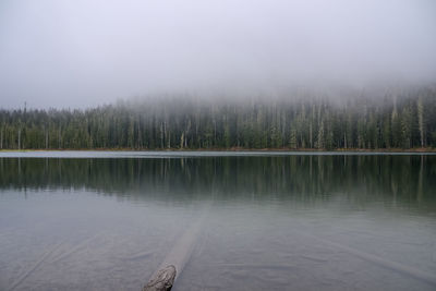 Scenic view of lake in forest against sky