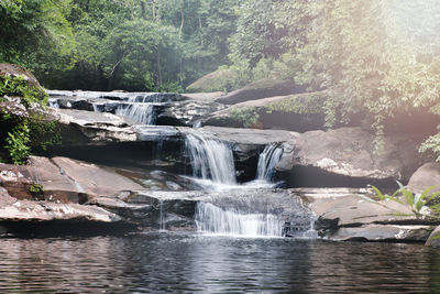 Scenic view of waterfall in forest