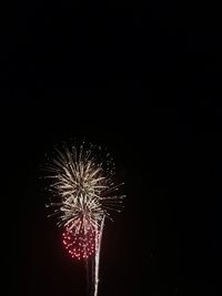 Low angle view of firework display at night