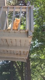 Built structure with trees in background