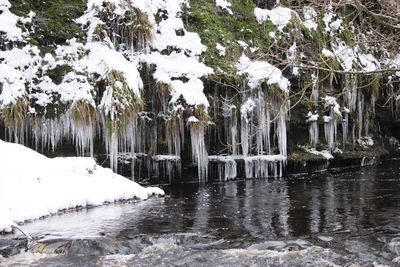 Scenic view of frozen lake during winter