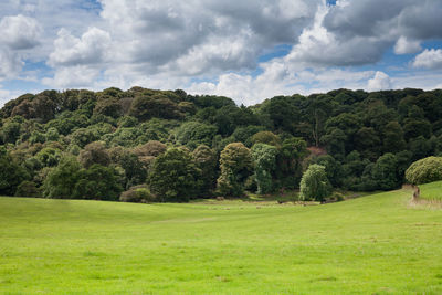 Scenic view of golf course against sky