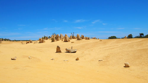Panoramic view of sand dunes against sky