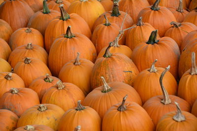 Full frame shot of pumpkins for sale