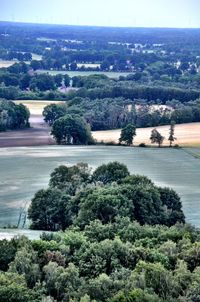 High angle view of trees on landscape against sky