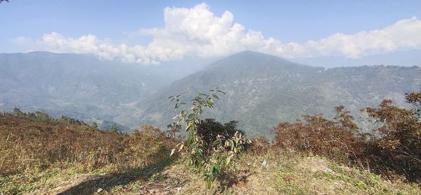 Panoramic view of landscape against sky