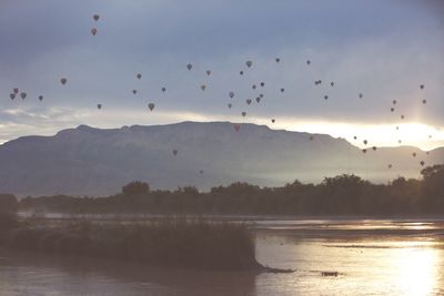 Birds flying over sea against sky during sunset